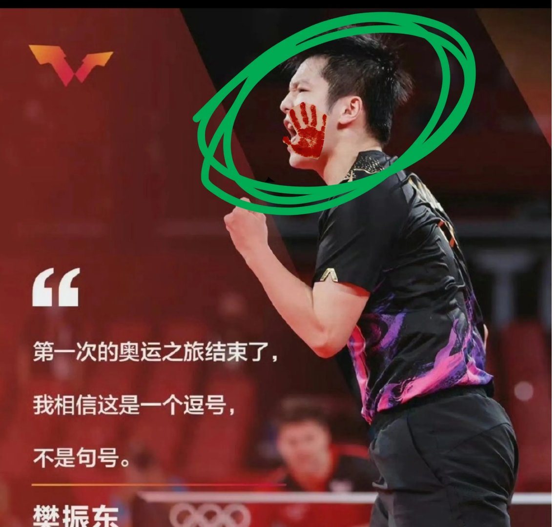 樊振东已抵达上海 樊振东已抵达上海